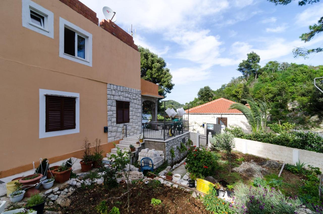 Apartments Vinko Sobra 객실 사진
